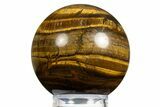 Polished Tiger's Eye Sphere - Top Quality #311754-1